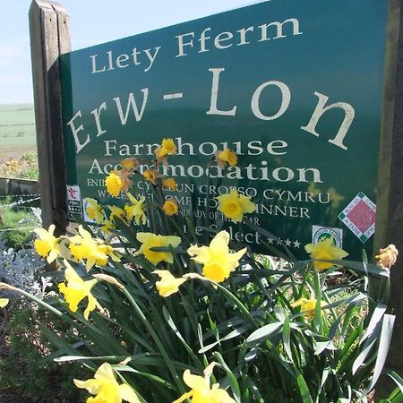 לינה וארוחת בוקר Pontfaen Erw-Lon Farm מראה חיצוני תמונה