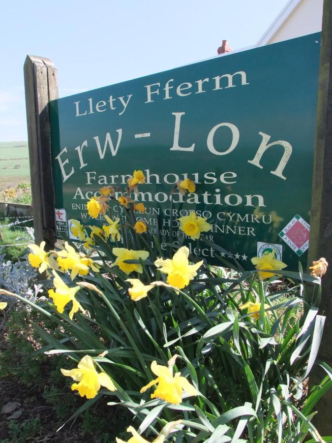 לינה וארוחת בוקר Pontfaen Erw-Lon Farm מראה חיצוני תמונה