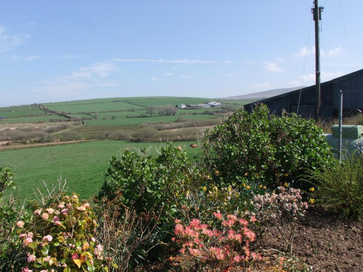 לינה וארוחת בוקר Pontfaen Erw-Lon Farm מראה חיצוני תמונה